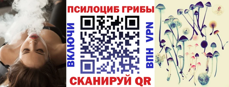 Псилоцибиновые грибы Magic Shrooms  где купить наркоту  Новая Ляля 